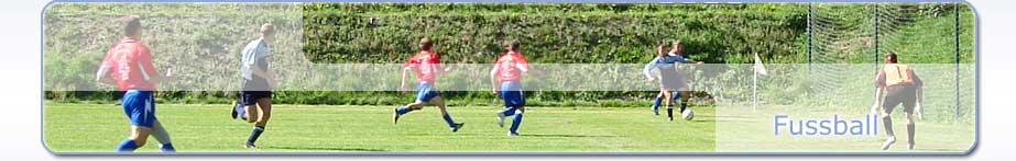 Eintracht Auerbach